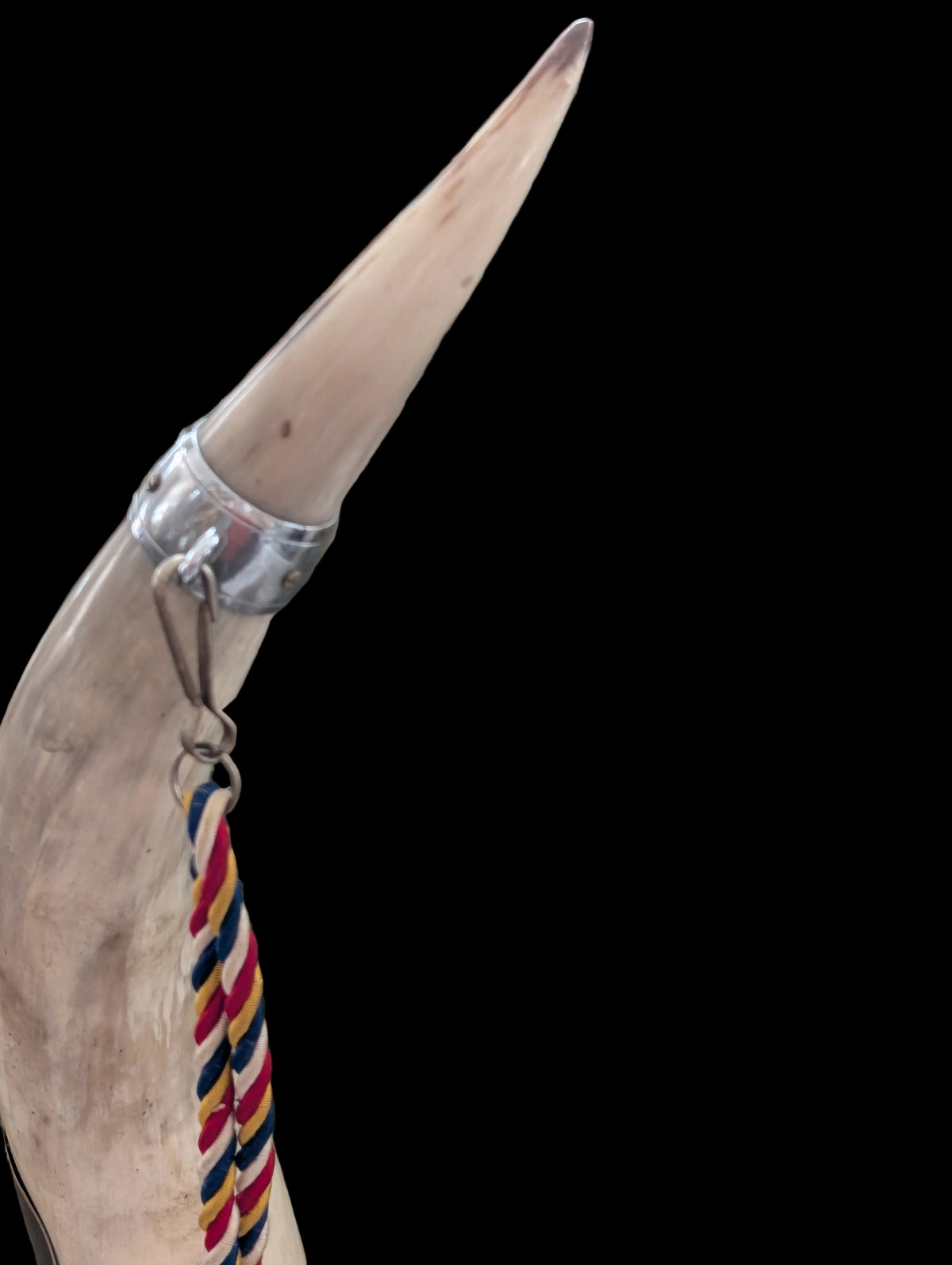 Horn Trophäe Schützenfest