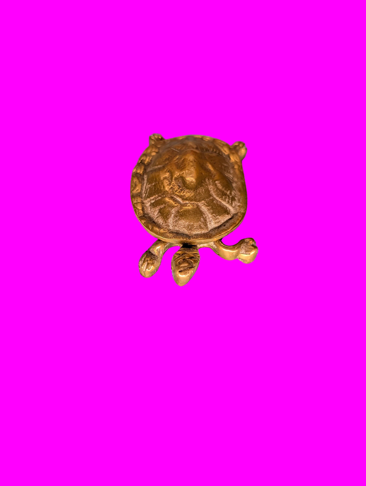 Bronze Schildkröte – Kleine Schmuck- und Pillendose, Sammlerobjekt