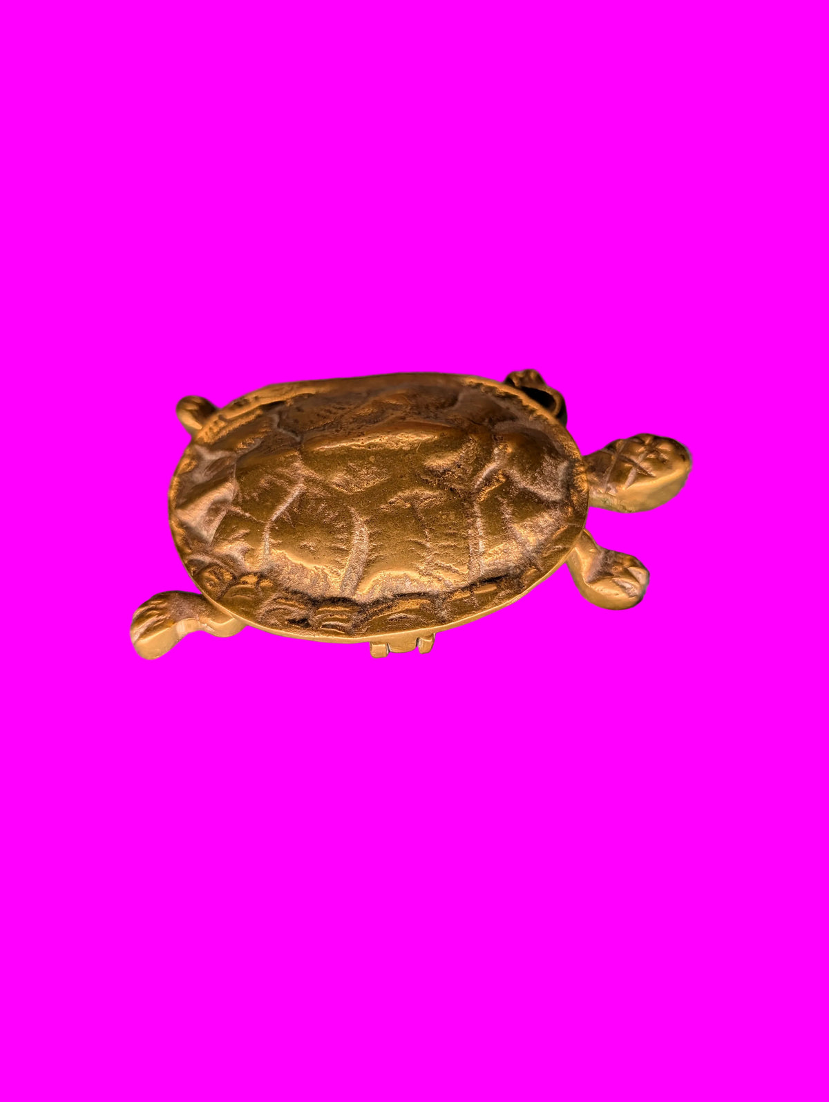 Bronze Schildkröte – Kleine Schmuck- und Pillendose, Sammlerobjekt